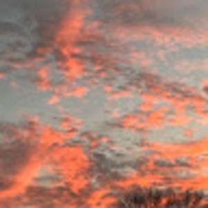 Meet your Posher, Natasha